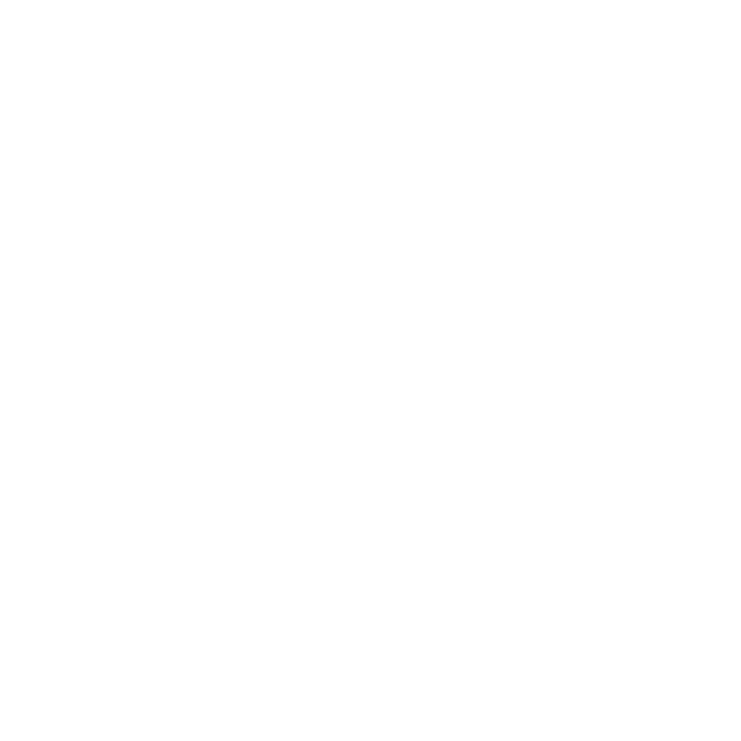 Logo_Apex_Partner